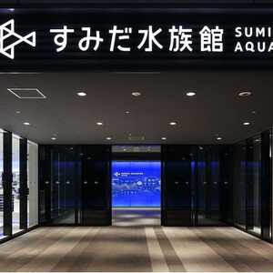 すみだ水族館 東京スカイツリータウン 東京都墨田区押上 水族館 Yahoo ロコ