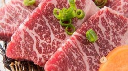 黒毛和牛 食べ放題 焼肉 龍 新橋本店 東京都港区新橋 焼肉 Yahoo ロコ