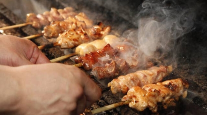 焼き鳥屋 てら 東京都武蔵野市吉祥寺南町 焼き鳥 Yahoo ロコ