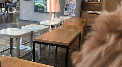 ストリーマーコーヒーカンパニー 茅場町店 東京都中央区日本橋小網町 カフェ コーヒー専門店 ケーキ屋 Yahoo ロコ