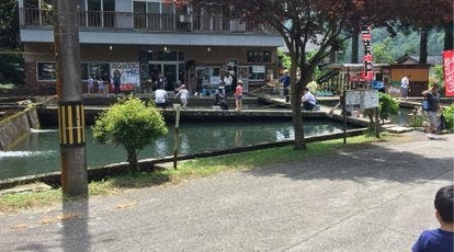 吉野観光 石川県白山市吉野 定食 魚介 海鮮料理 Yahoo ロコ