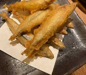 ねりやかなや 代々木 東京都渋谷区代々木 居酒屋 九州料理 Yahoo ロコ