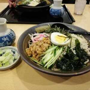 すぎのや 茨城空港店 茨城県小美玉市与沢 そば Yahoo ロコ