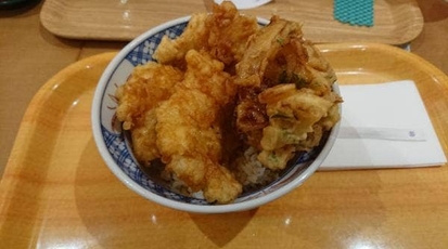 江戸前天丼 濱乃屋 イオンレイクタウンmori店 埼玉県越谷市レイクタウン 丼もの Yahoo ロコ