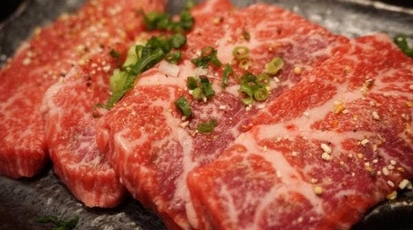 焼肉の田口 炭火焼 カルビ焼 新鮮ホルモン 厚木 神奈川県厚木市飯山 ホルモン 焼肉 Yahoo ロコ