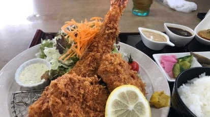 かたやま庵 栃木県佐野市葛生東 そば 蕎麦 ハンバーグ とんかつ Yahoo ロコ