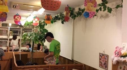 うさぎカフェもふれる 東京都千代田区外神田 カフェ Yahoo ロコ