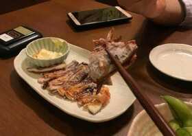 肉ずしと飲み放題の道しるべ 愛知県知立市新富 牛肉料理 Yahoo ロコ