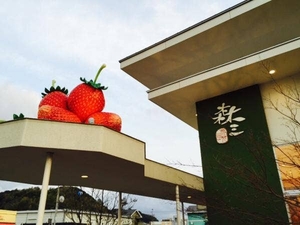 森三 中山店 鹿児島県鹿児島市中山町 ケーキ屋 スイーツ 洋菓子 お土産 Yahoo ロコ