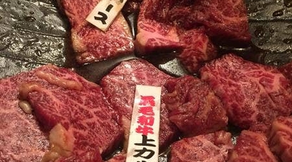 焼肉問屋 飛騨牛専門店 焼肉ジン 岐阜県大垣市熊野町 焼肉 Yahoo ロコ