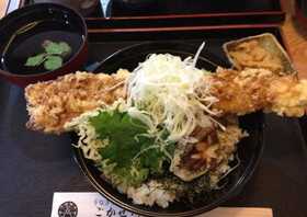 天ぷら 心 大阪府八尾市陽光園 和食 Yahoo ロコ