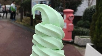 天城わさびの里 静岡県伊豆市湯ケ島 その他 アイスクリーム ソフトクリーム お土産 Yahoo ロコ