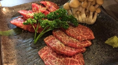 炭焼 味覚園 札幌北口店 北海道札幌市北区北九条西 焼肉 ホルモン Yahoo ロコ