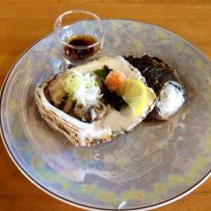 密漁船 千葉県大網白里市南今泉 魚介 海鮮料理 丼もの 刺身 Yahoo ロコ