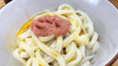 純手打ち讃岐うどん 蓮 神奈川県川崎市宮前区犬蔵 讃岐うどん Yahoo ロコ