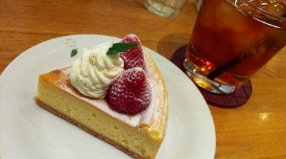 The Earth Cafenu Chayamachi店 大阪府大阪市北区茶屋町 カフェ ケーキ屋 チョコレート クッキー Yahoo ロコ