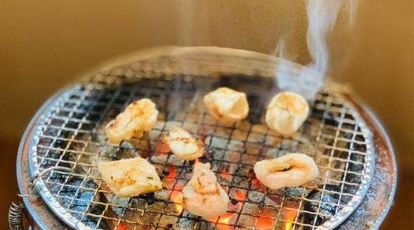 きくちゃん 東2条店 北海道旭川市東二条 焼肉 ホルモン Yahoo ロコ