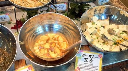 食彩健美 野の葡萄 沖縄cargoes店 沖縄県那覇市安里 バイキング ビュッフェ Yahoo ロコ