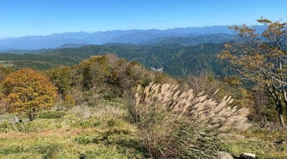 茶臼山 つみきハウス 愛知県北設楽郡豊根村坂宇場 屋台 Yahoo ロコ