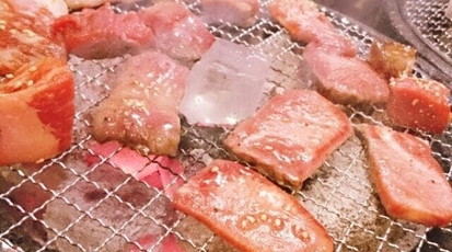 焼肉トラジ 赤坂店 東京都港区赤坂 焼肉 Yahoo ロコ