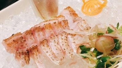 楽処 ふるさと 山口県山口市小郡下郷 居酒屋 魚介 海鮮料理 ダイニングバー Yahoo ロコ