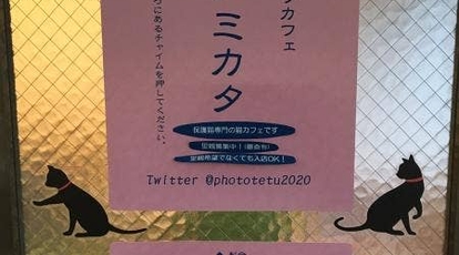 保護猫セルフカフェ ネコノミカタ 京都府京都市中京区西ノ京北聖町 カフェ Yahoo ロコ