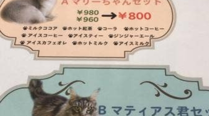 ねこの城 三重県松阪市松ヶ島町 カフェ Yahoo ロコ