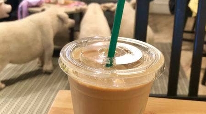 スタジオカフェ ズーアドベンチャー ルクア大阪店 大阪府大阪市北区梅田 グルメ Yahoo ロコ