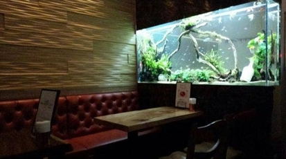 隠れ家イタリアン Aquarium Cafe Affinity 海老名 神奈川県海老名市扇町 居酒屋 Yahoo ロコ