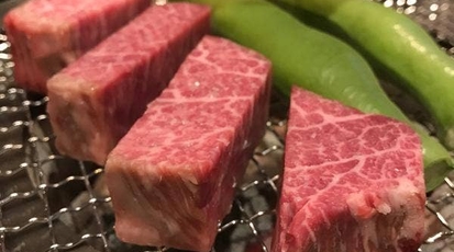 炭とん 新潟県新潟市中央区東大通 焼肉 ホルモン Yahoo ロコ