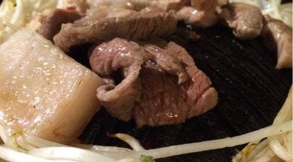 琴似ジンギスカン ひつじっこ 北海道札幌市西区二十四軒四条 焼肉 ジンギスカン ホルモン 羊肉 Yahoo ロコ