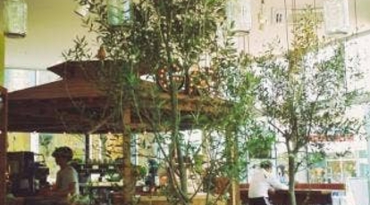 グリーン カフェ もりのみやキューズモールbase店 大阪府大阪市中央区森ノ宮中央 カフェ Yahoo ロコ