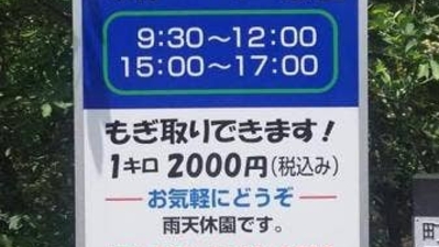 浅沼ブルーベリー農園 東京都町田市木曽西 Yahoo ロコ