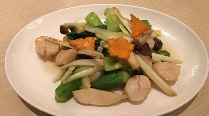 飯店 藤枝 四川