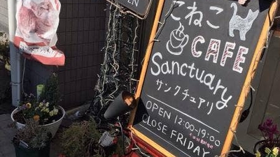 口コミ こねこカフェ サンクチュアリ 岐阜県各務原市鵜沼東町 カフェ Yahoo ロコ