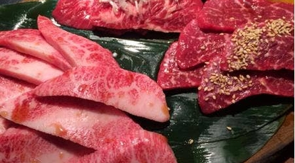 焼肉赤煉瓦 新松戸店 千葉県松戸市新松戸 焼肉 Yahoo ロコ