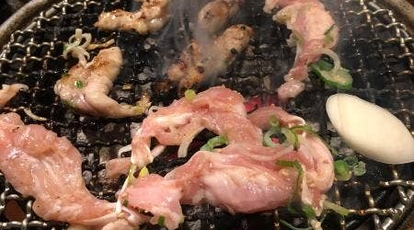 あぶり屋 上永谷店 神奈川県横浜市港南区上永谷 肉料理 一般 Yahoo ロコ