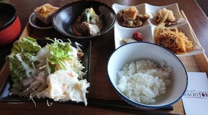 ニッポンバール Hachitora 栃木県宇都宮市東宿郷 ダイニングバー 和食 創作料理 串焼き 朝食バイキング Yahoo ロコ