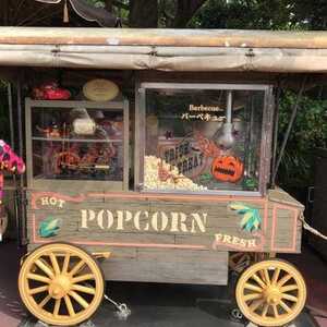 東京ディズニーリゾート ポップコーンワゴン 千葉県浦安市舞浜 Yahoo ロコ