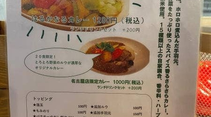 はるかなるカレー 名古屋 愛知県名古屋市中区栄 カレー Yahoo ロコ