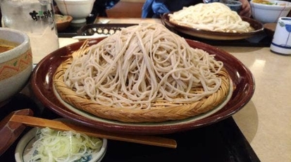 すぎのや 土浦真鍋店 茨城県土浦市真鍋 そば Yahoo ロコ