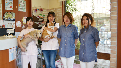 アルプス動物病院 大阪府大阪市城東区中央 動物病院 獣医師 Yahoo ロコ