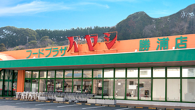 フードプラザハヤシ 勝浦店 千葉県勝浦市新官 スーパー Yahoo ロコ