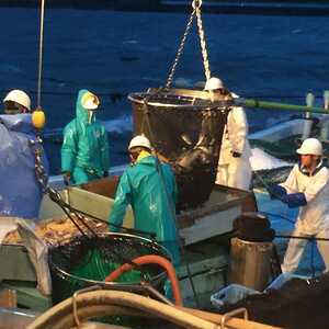さくら水産 海浜幕張南口店 千葉県千葉市美浜区ひび野 和風居酒屋 Yahoo ロコ
