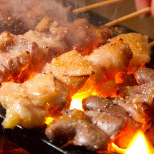 水炊き 焼鳥 とりいちず 酒場 大森東口店 東京都品川区南大井 焼き鳥 Yahoo ロコ