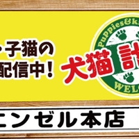 全国のペットショップ ペット用品のお店 施設一覧 14件 Yahoo ロコ