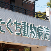 久喜 幸手の動物病院 獣医師一覧 19件 Yahoo ロコ