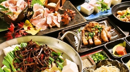博多もつ鍋と九州料理 なぎの木 青山表参道店 東京都渋谷区神宮前 鍋料理 Yahoo ロコ
