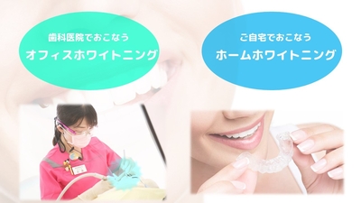 ますだ歯科 大阪府堺市北区中百舌鳥町 歯科 Yahoo ロコ