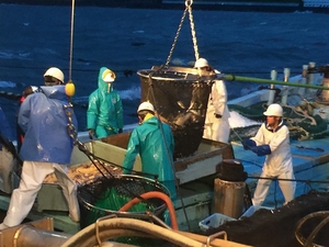 クーポン一覧 さくら水産 海浜幕張南口店 千葉県千葉市美浜区ひび野 和風居酒屋 Yahoo ロコ